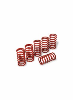 CNC Racing Verenset 38mm (6 st.) voor droge koppeling voor Ducati