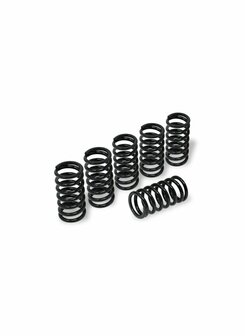 CNC Racing Verenset 38mm (6 st.) voor droge koppeling voor Ducati