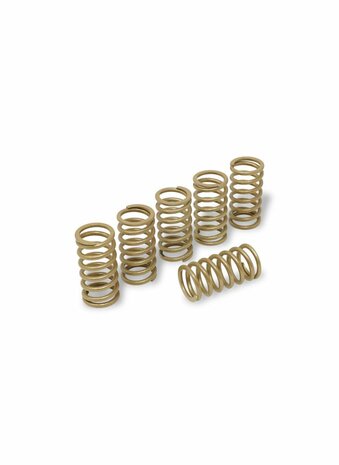 CNC Racing Verenset 38mm (6 st.) voor droge koppeling voor Ducati