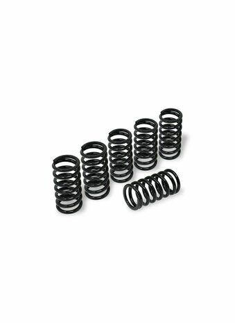 CNC Racing Verenset 38mm (6 st.) voor droge koppeling voor Ducati